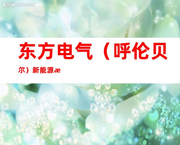 东方电气(呼伦贝尔)新能源有限公司